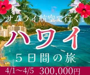 ハワイツアーバナー